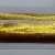 Pelikan M200 Gold-Marmoriert
