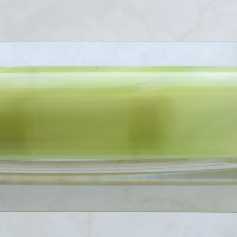Pelikan M200 Pastel green
