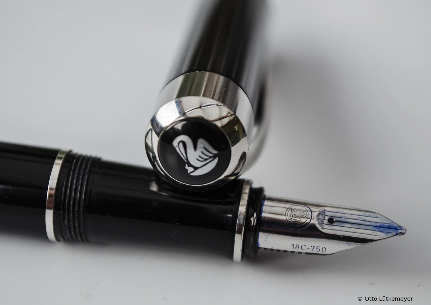 Pelikan Ductus (P3100)
