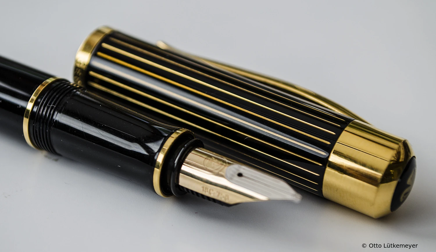 Pelikan Ductus (P3100)