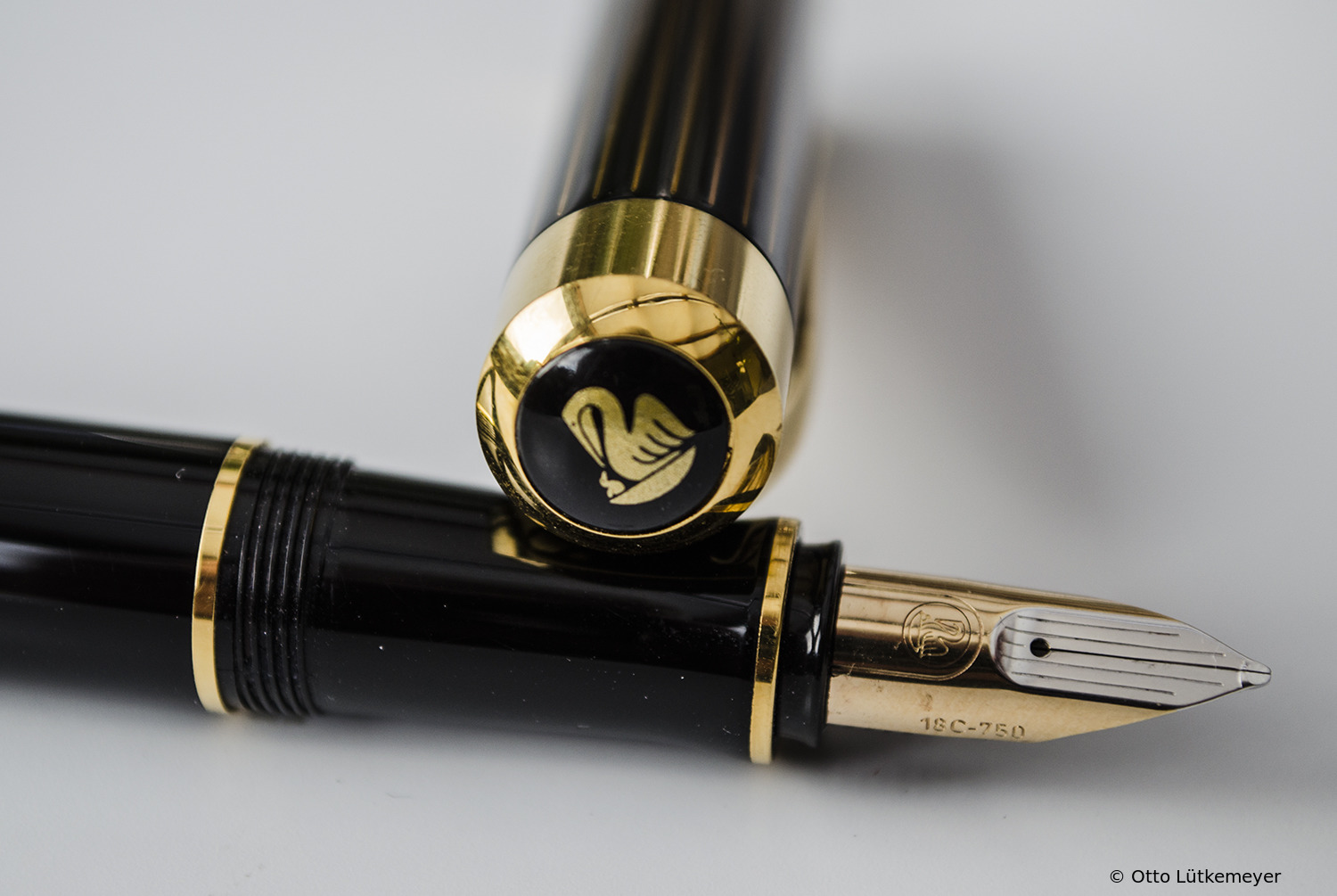 Pelikan Ductus (P3100)