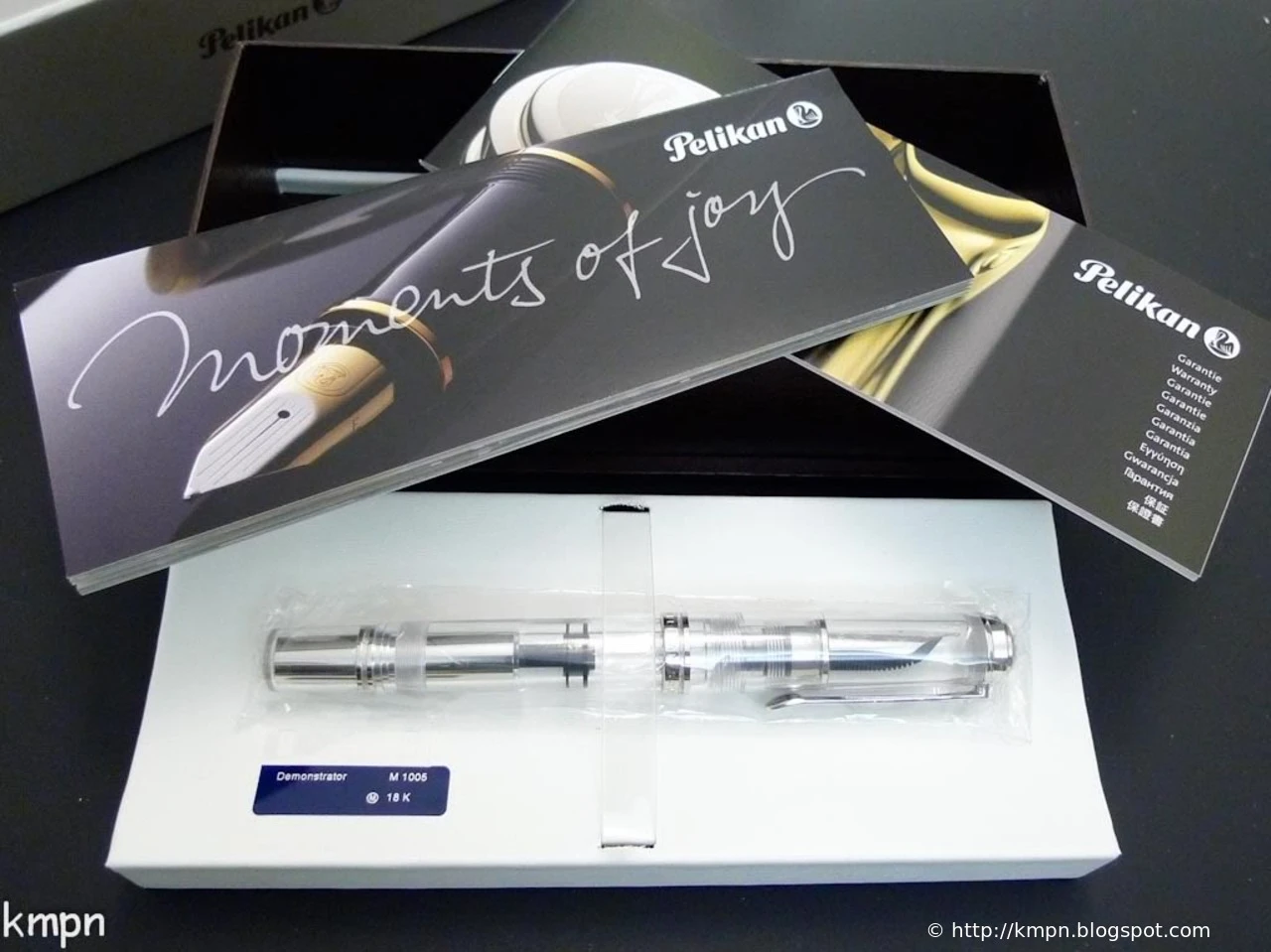 Pelikan M1005 Demonstrator
