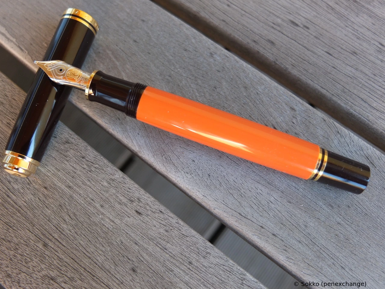 Pelikan M800 Burnt orange
