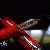 Pelikan M910 Toledo Red
