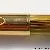 Pelikan 500 Tortoise brown-striped - Gold double
