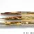 Pelikan 500 Tortoise brown-striped - Gold double
