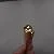 Pelikan 520NN Rolled gold double
